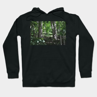 Of Farms and Fields, Hamilton 2014 Hoodie